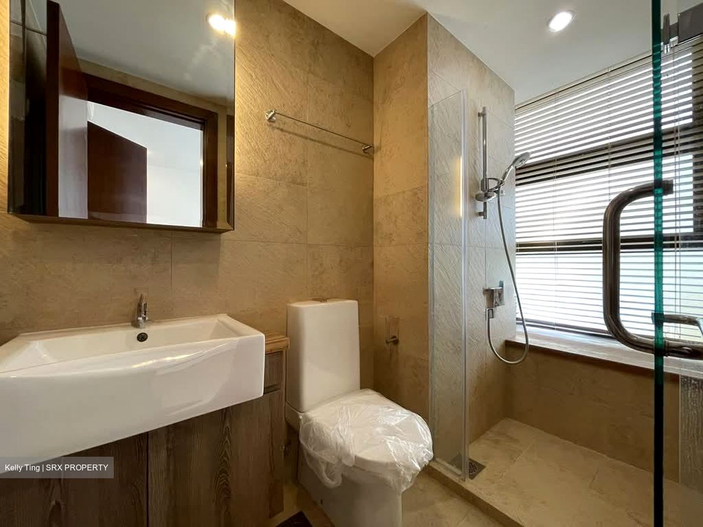 Holland Link (D10), Terrace #602884441